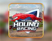 KM Virtual Hound Racing