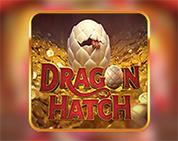 Dragon Hatch